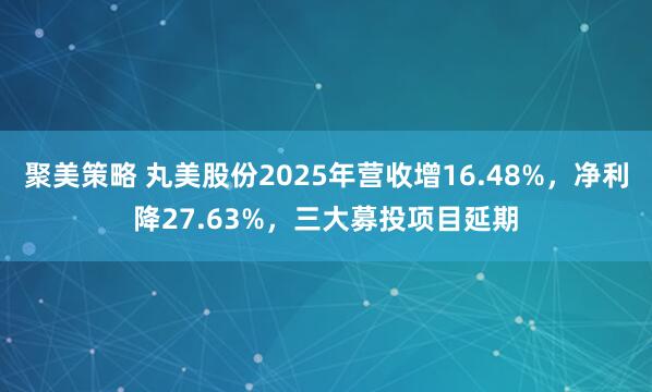 聚美策略 丸美股份2025年营收增16.48%,净利降27.63%,三大募投项目延期