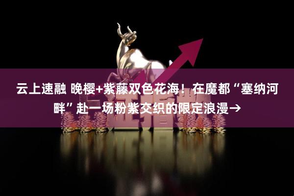 云上速融 晚樱+紫藤双色花海！在魔都“塞纳河畔”赴一场粉紫交织的限定浪漫→