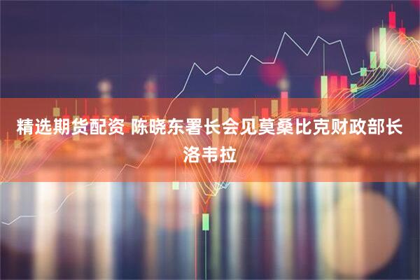 精选期货配资 陈晓东署长会见莫桑比克财政部长洛韦拉